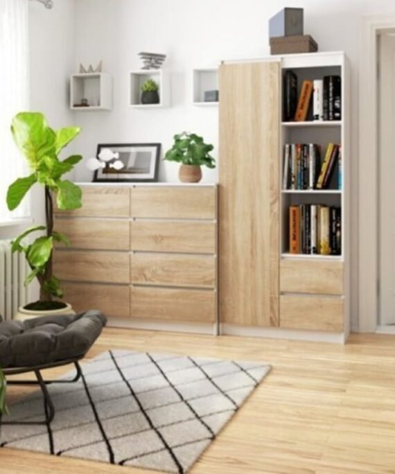 Modern Sonoma Bookcase