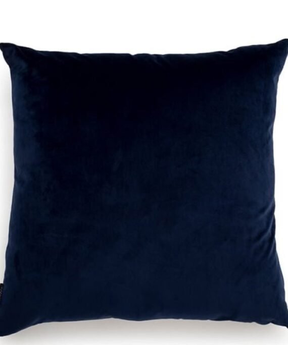 Comfortable Velvet Cushion