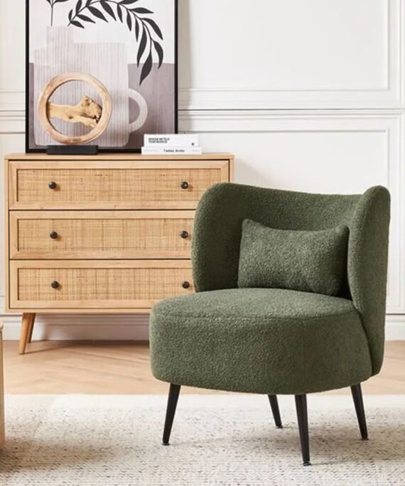 Modern Curved Backrest Armchair